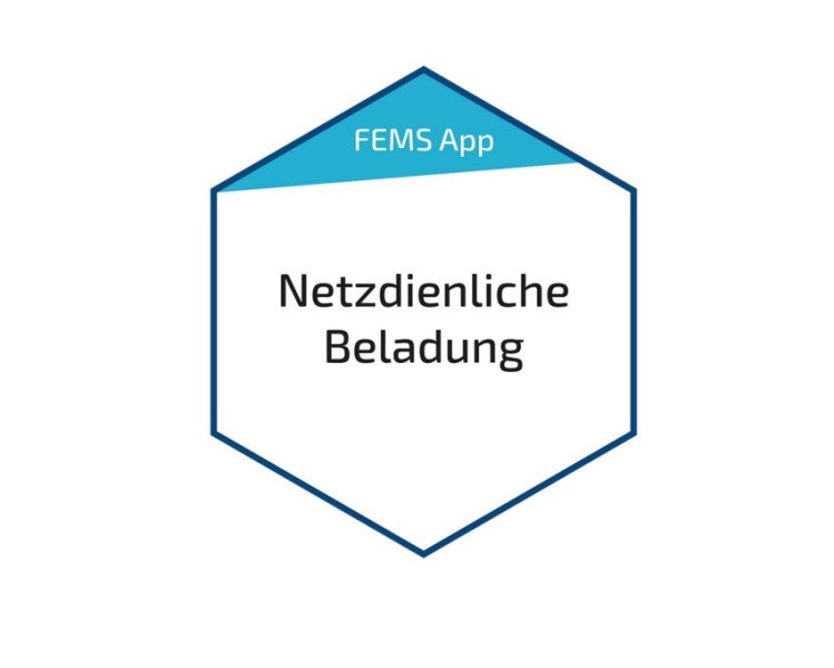 Fems App Netzdienliche Beladung