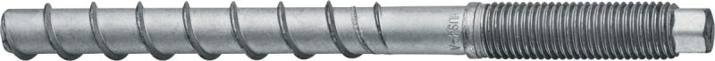 Hilti Schraubanker Hus4-Af M12